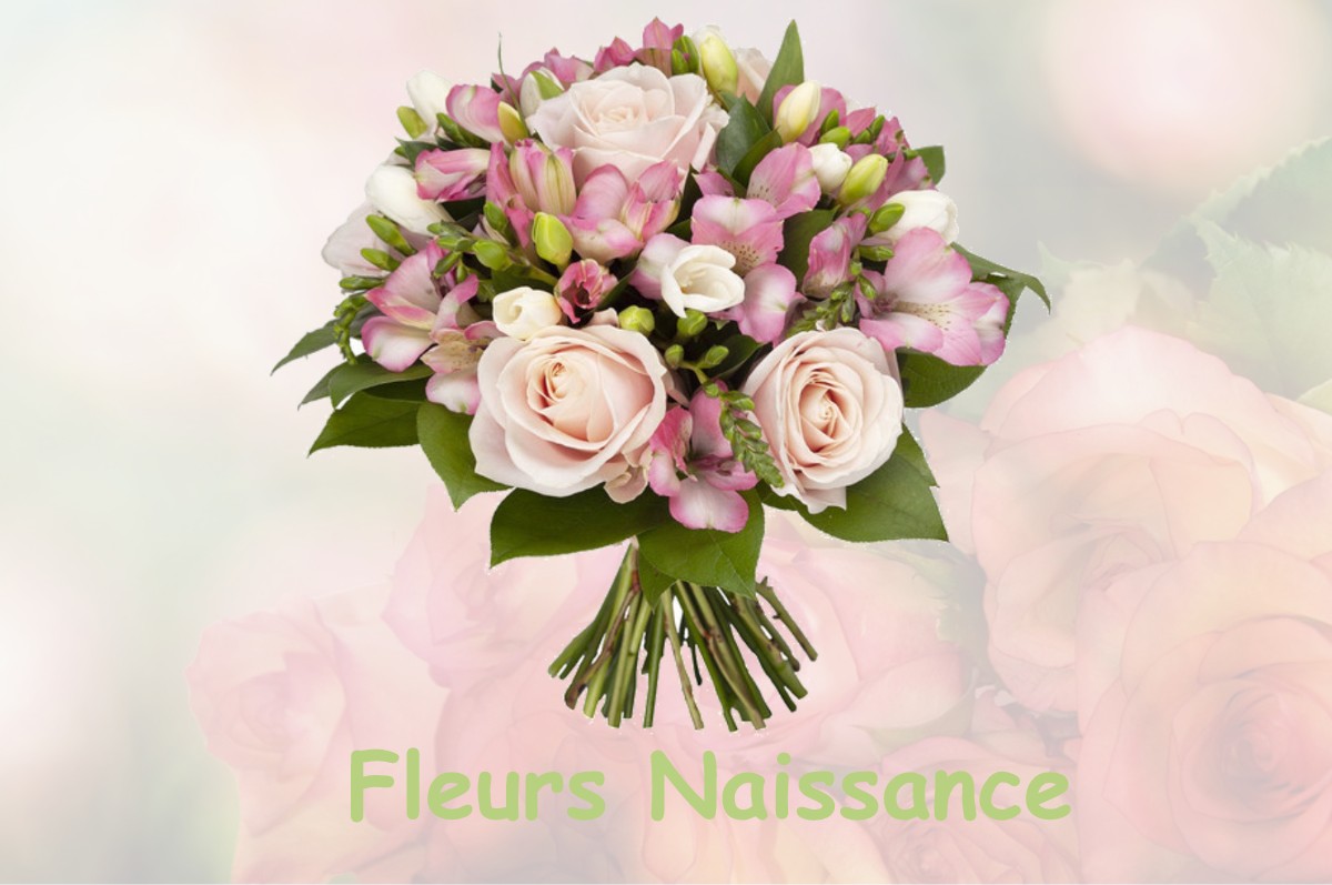fleurs naissance SAINT-GENIS-D-HIERSAC